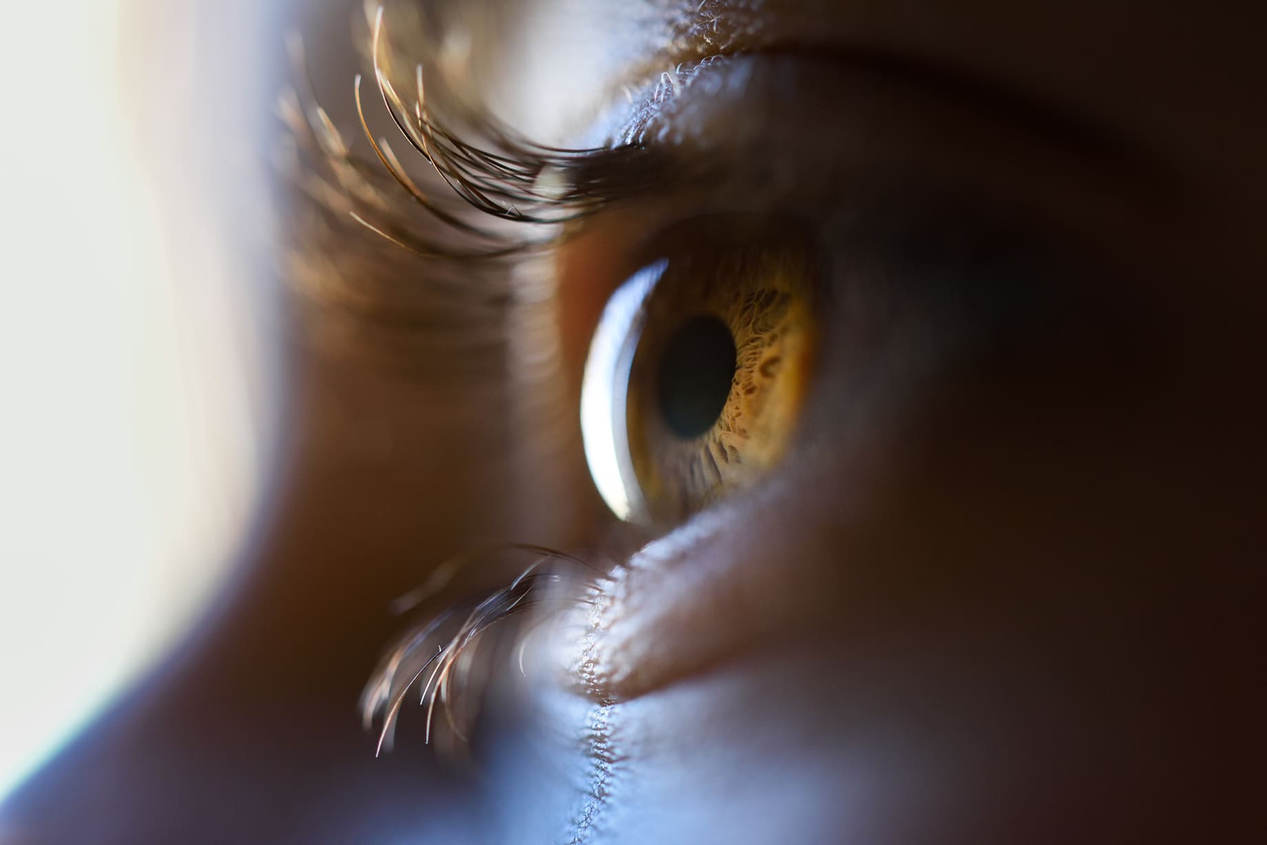 Строение глаза: анатомия и роль органов зрения